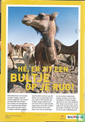 National Geographic: Junior [BEL/NLD] 12 zomerspecial - Image 2