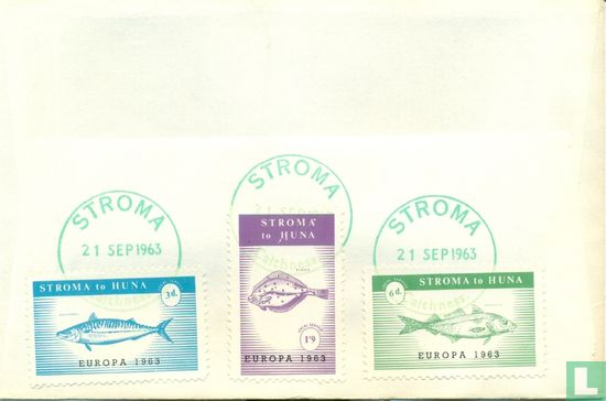 Stroma - Europa - Fisch - Bild 1