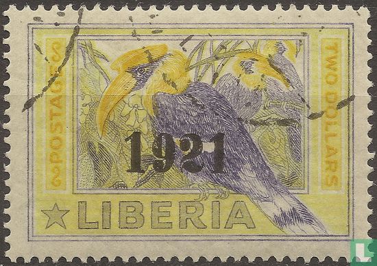 Hornbill with overprint
