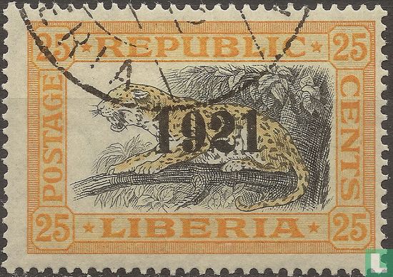 Leopard with overprint