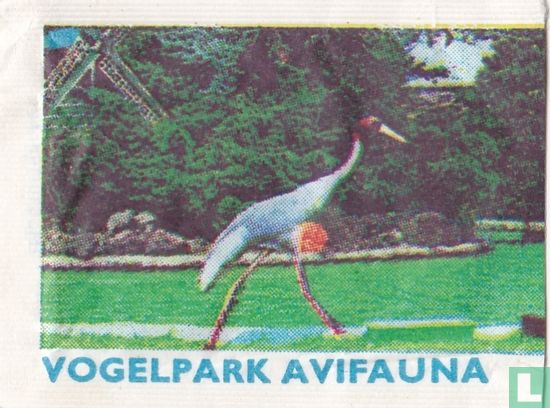 Jufferkraan - Vogelpark Avifauna  - Bild 1