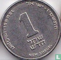 Israël 1 nieuwe sheqel 2007 (JE5767) - Afbeelding 1