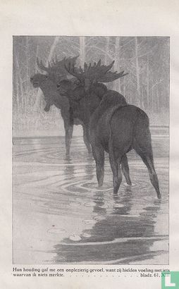 Heel het bos speelt mee - Image 3