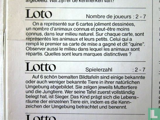 Lotto - Afbeelding 3