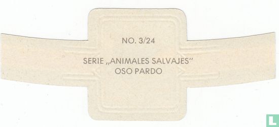 Oso Pardo - Afbeelding 2