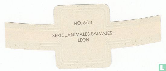León - Afbeelding 2