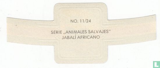 Including Africano - Image 2