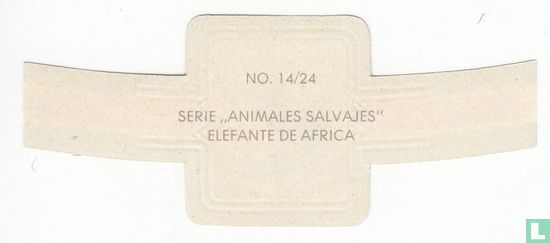 Elefante de Africa - Afbeelding 2