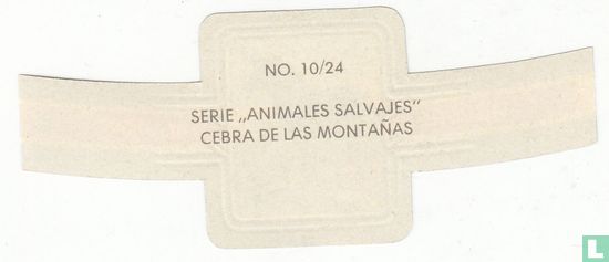 Cebra de las Montanas - Afbeelding 2