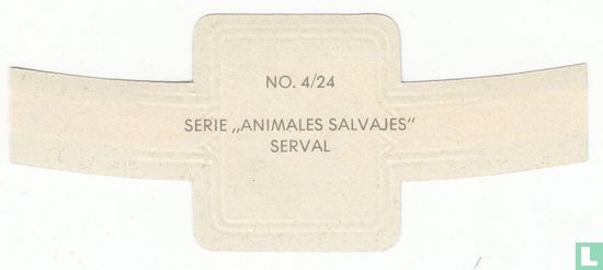 Serval - Image 2