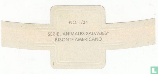 Bisonte Americano - Afbeelding 2