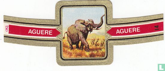 Elefante de Africa - Afbeelding 1