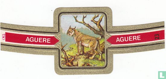 Lince - Afbeelding 1
