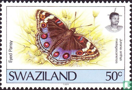Butterflies