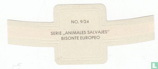 Bisonte Europeo - Afbeelding 2