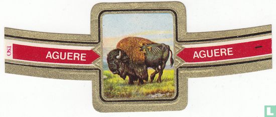 Bisonte Americano - Afbeelding 1
