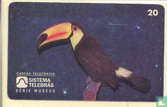 Museu Nacional Tucano Sala de Aves - Image 1