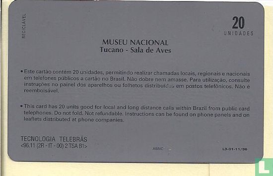 Museu Nacional Tucano Sala de Aves - Image 2