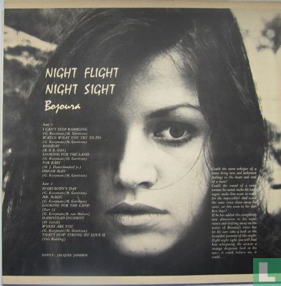 Night Flight Night Sight - Afbeelding 2