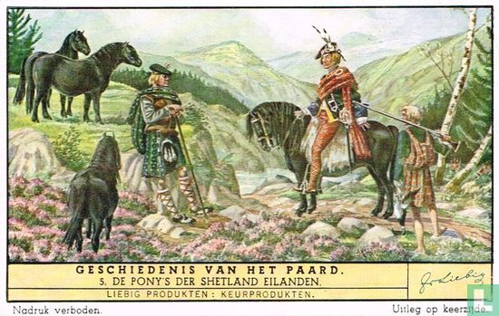 De pony's der Shetland eilanden