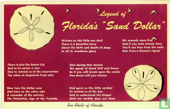 FK.16 USA Florida's Sand Dollar Sea Shell Jesus Birth - Bild 1