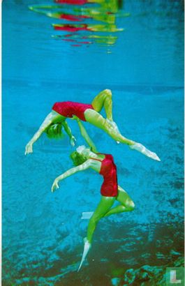USA Florida Spring of Life mermaids Weeki Wachee  - Afbeelding 1