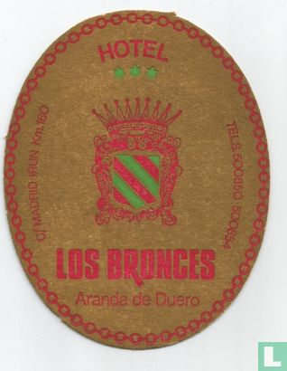 Hotel los Bronces