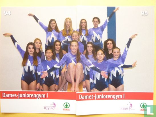 Groepsfoto Dames-juniorengym I (links) - Afbeelding 2