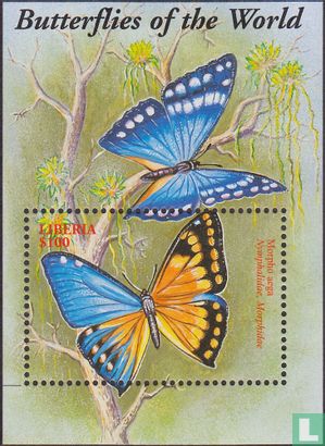 Butterflies             