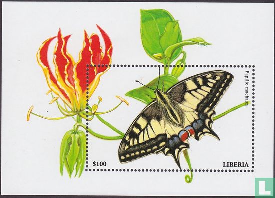 Butterflies          