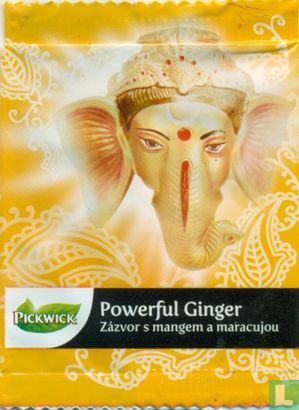 Powerful Ginger - Image 1