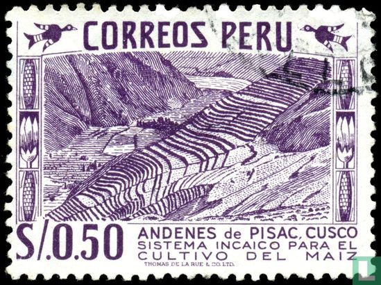 Terrasse maïs Inca