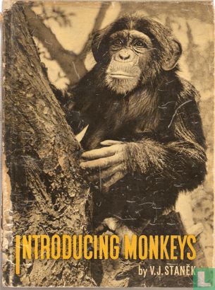 Introducing Monkeys - Afbeelding 1
