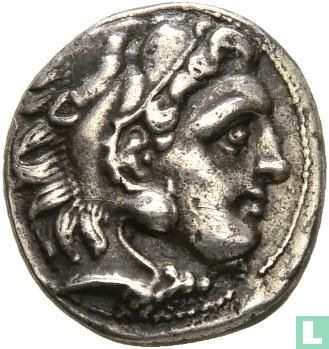 Royaume de Macédoine, Philip III Arrhidaios 323-317 av. J.-C., AR drachme frappé Kolophon c. 323-319 av. J.-C. - Image 2