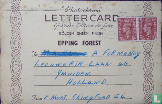Epping Forest Lettercard postkaarten - Afbeelding 2