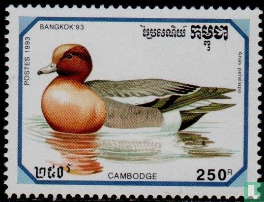 Bangkok ' 93-Ducks