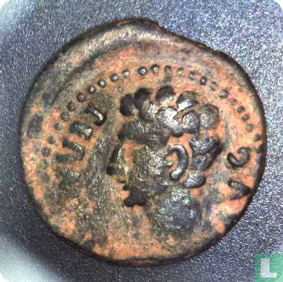 Empire romain 27 BC - AD 14, AE demi-finale, août, Cordoue-Colonia Patricia, Hispania Baetica - Image 1