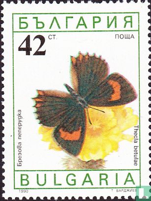 Butterflies and moths 