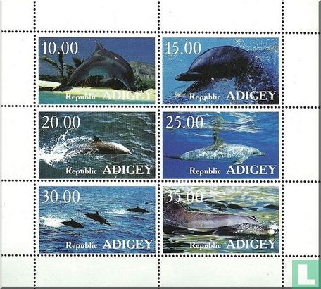 Adygea, Republiek. Dolfijnen