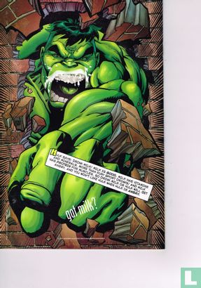 Hulk 9 - Afbeelding 2