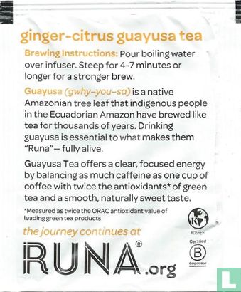 ginger-citrus guayusa tea - Bild 2