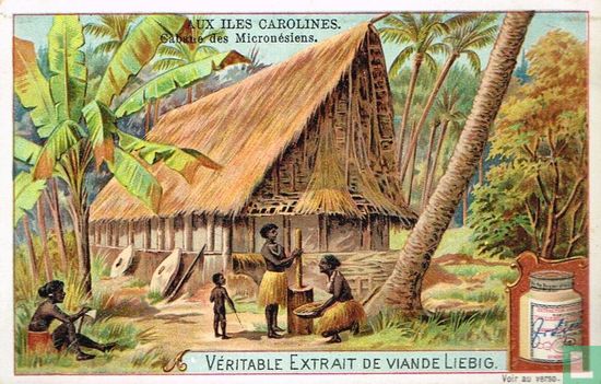Cabane des Micronésiens