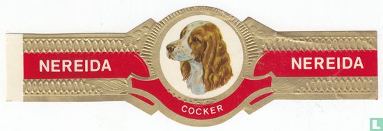 Cocker - Afbeelding 1