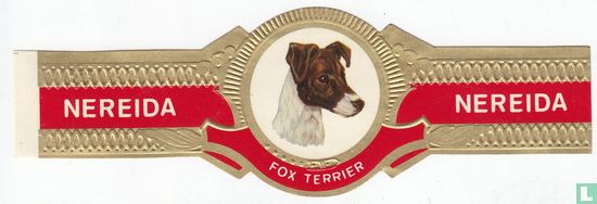 Fox Terrier - Afbeelding 1