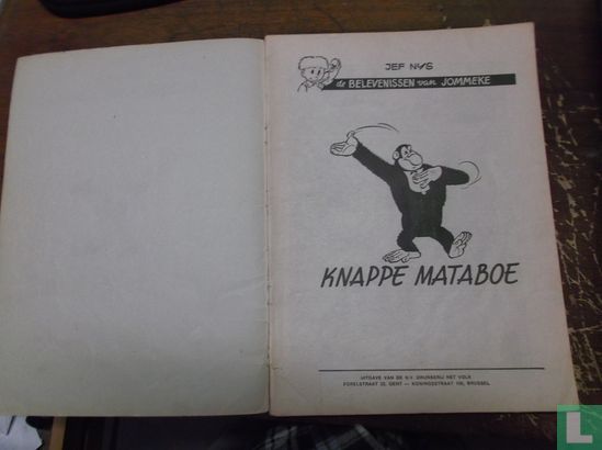 Knappe Mataboe - Bild 3