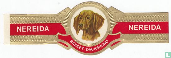Basset-Dachshund - Afbeelding 1