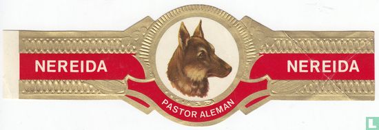 Pastor Aleman - Bild 1