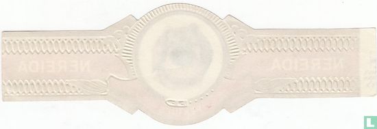 Pasteur Aleman - Image 2