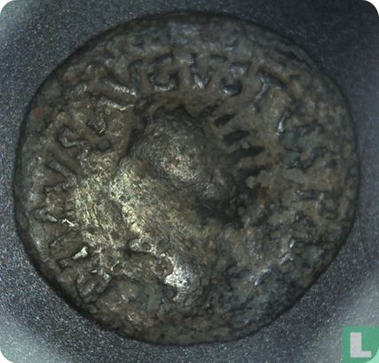 Empire romain 27 BC - AD 14, AE, comme, août, Emerita Augusta, Hispania Lucitania, après 25 av. J.-C. - Image 1