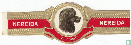 De Aguas - Afbeelding 1